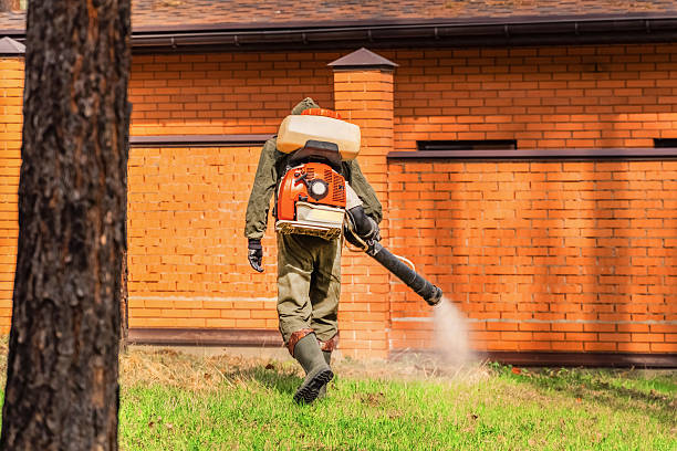 Bed Bug Clearance Verification and Documentation in Sundown